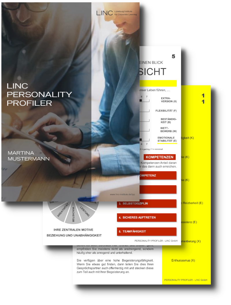 LINC Personality Profiler Auswertung