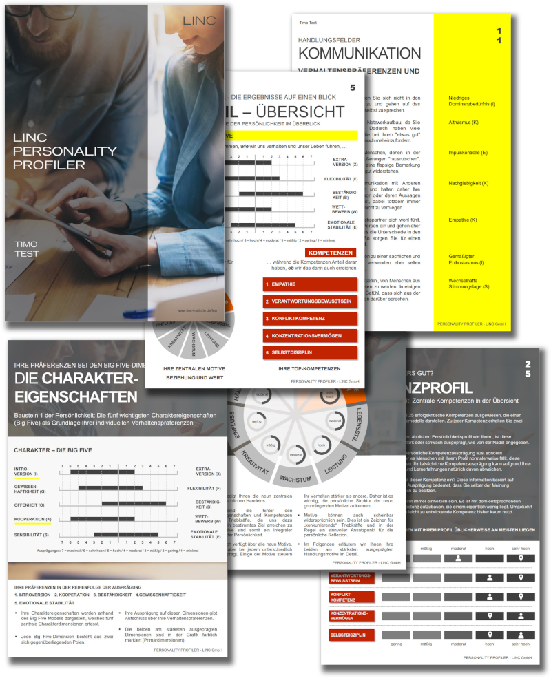 LINC Personality Profiler Report Beispiel
