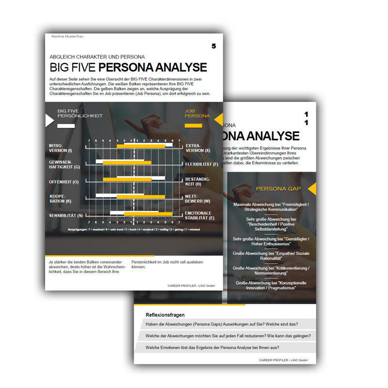 Persona Analyse