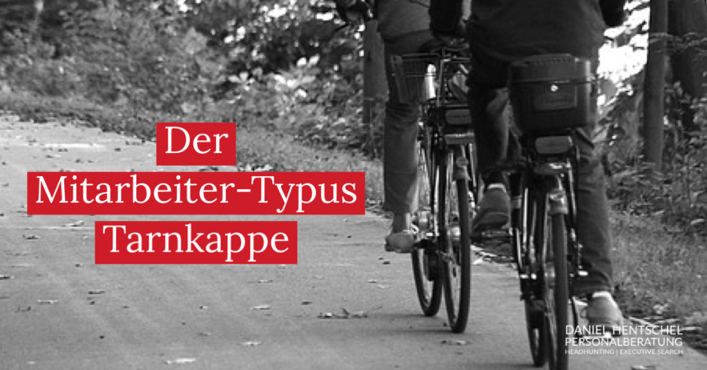 Der Mitarbeiter-Typus Tarnkappe - Daniel Hentschel