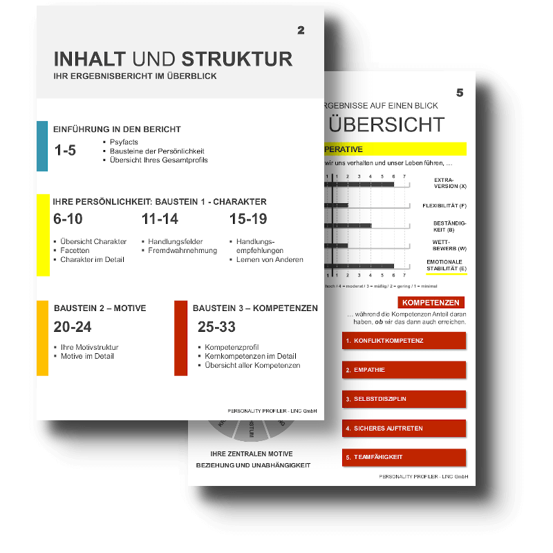 LINC PERSONALITY PROFILER - Daniel Hentschel | Executive Coach | Inverser Headhunter | Dresden | Sachsen