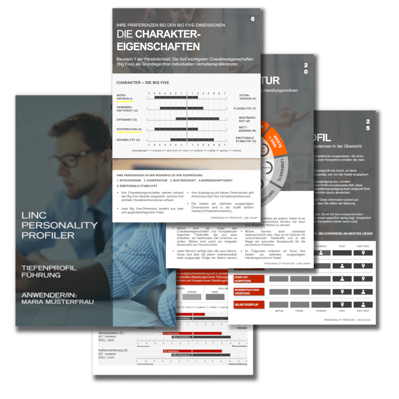 LPP-und-Tiefenprofile - Daniel Hentschel | Karrierecoaching | Inverses Headhunting | Dresden | Sachsen